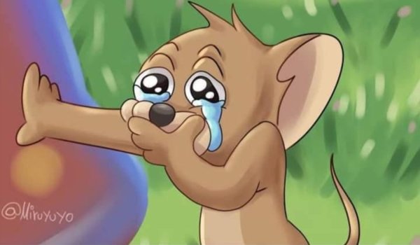 Кот плачет и закрывает рот