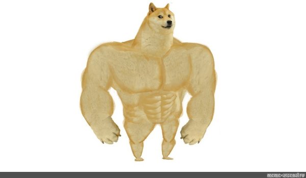 Doge качок