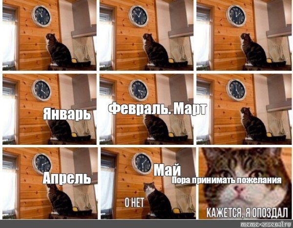 Мем кот пора