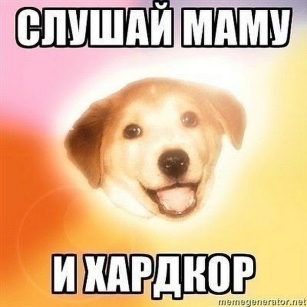 Выздоравливай собака