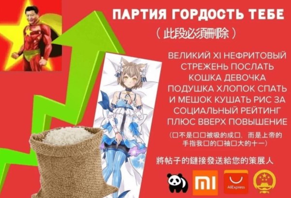 Кошка жена и Мисув риса