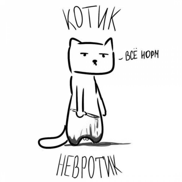 Мемы с котиками