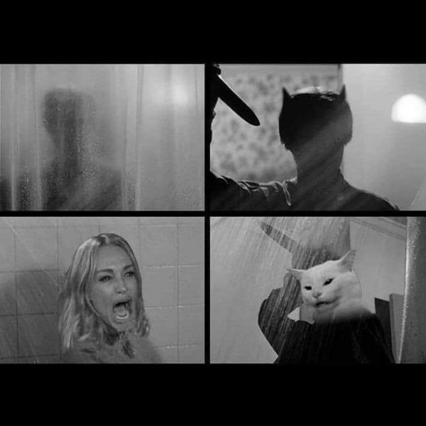 Девушки орут на кота