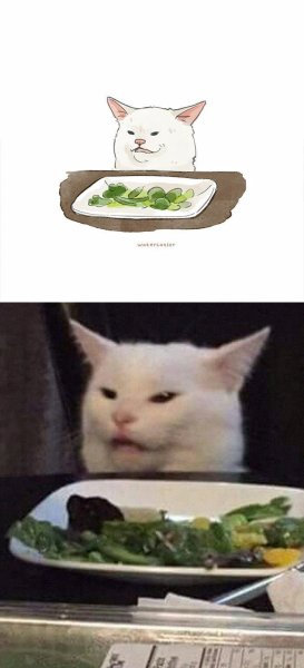 Салат кот