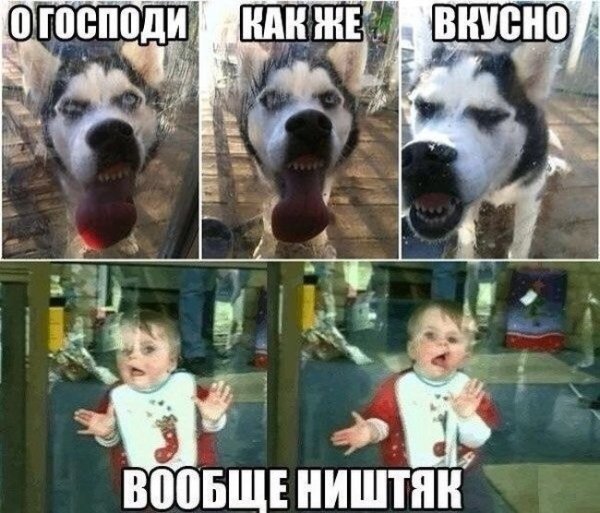 Картинки смешные до слез