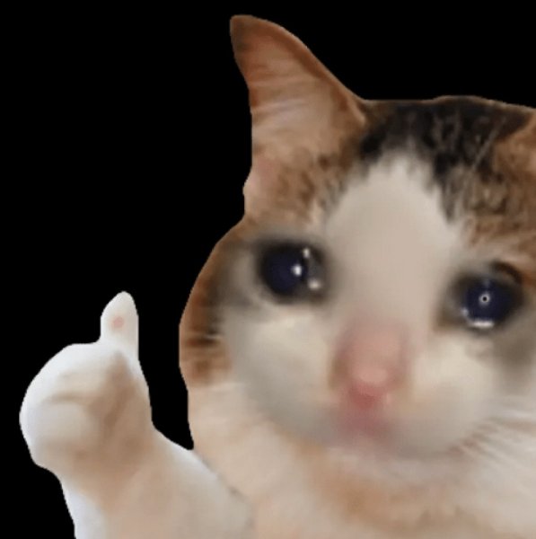 Плачущий кот с большим пальцем