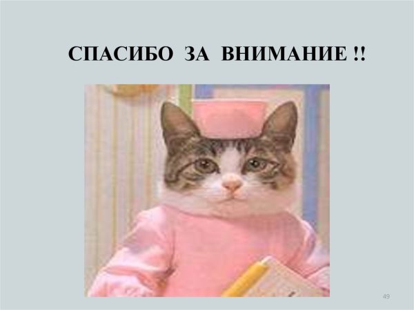 Спасиботза внимание кот