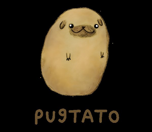 Собака картошка Мем