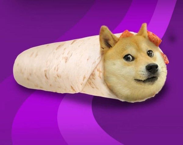 Собака в тесте