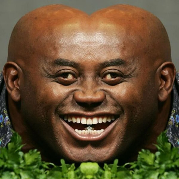 Эйнсли Хэрриот смеётся