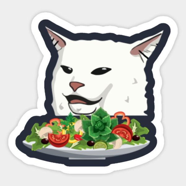Кот из мема с салатом