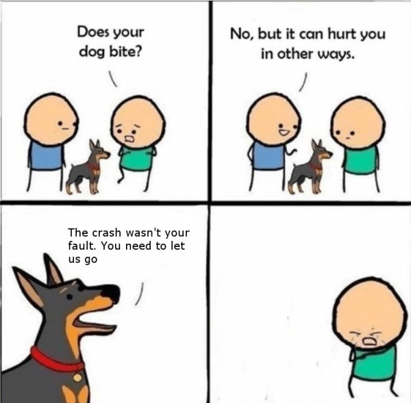 Эта собака кусается