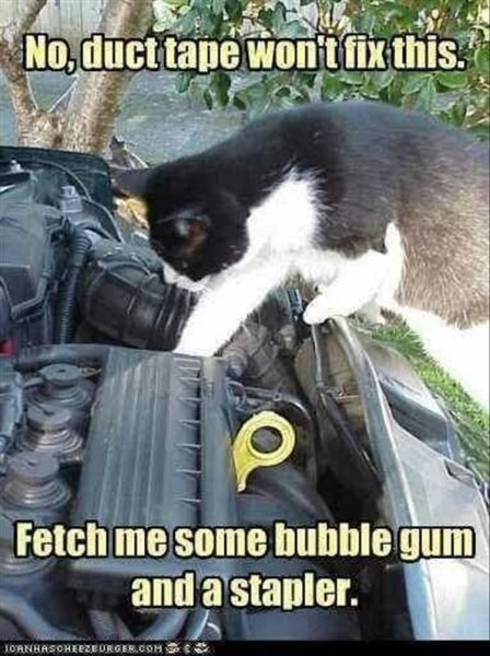 Кот с гаечным ключом Мем