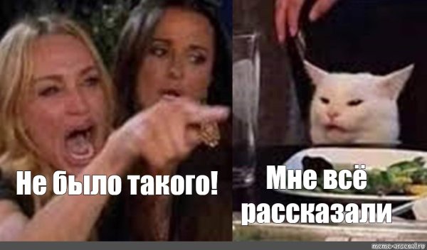 Мем Кейт Хадсон и кот