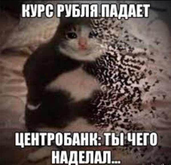 Ты чаво наделал Мем