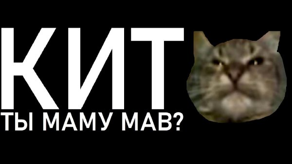 Кит ТФ маму мав