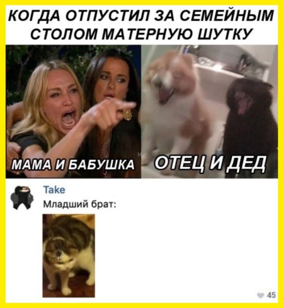 Мем женщина и кот за столом