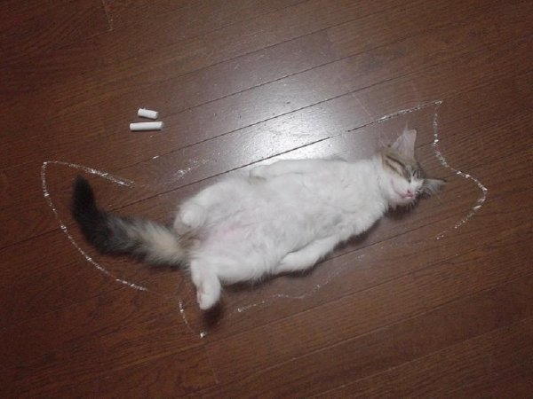 Убитый Пушистик