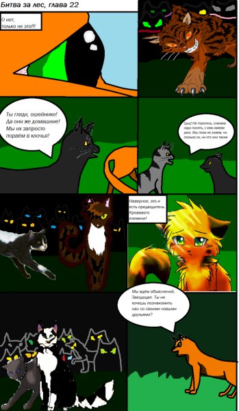 Коты Воители битва за лес Бич