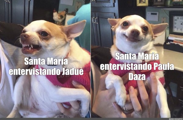 С доброй и злой собакой