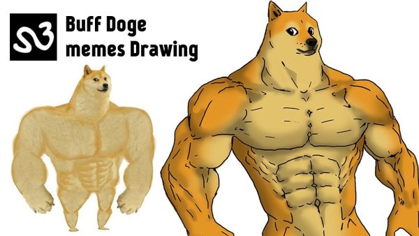 Doge качок