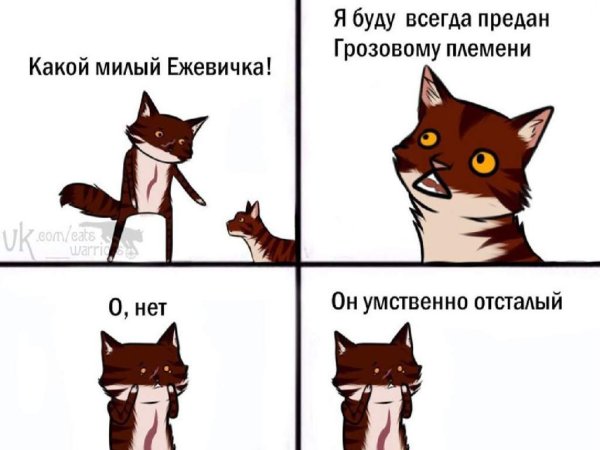 Коты Воители приколы