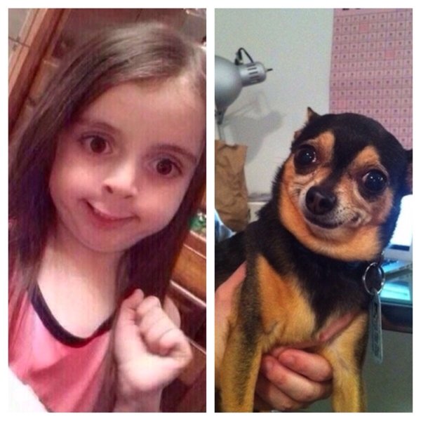 Девочка с собакой Мем