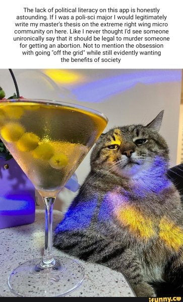 Кот с коктейлем