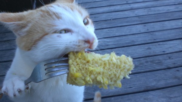 Смешные макароны