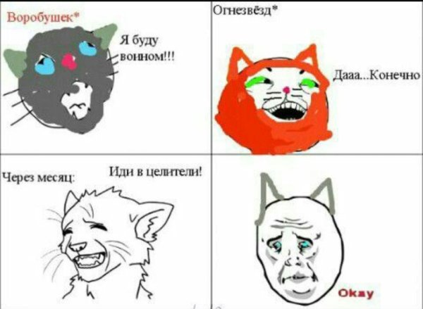 Приколы с котами воителями