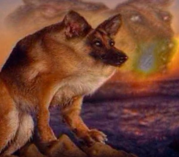 Мем Макс иди