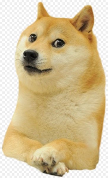 Сиба-ину Догги