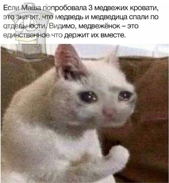 Плачущий белый кот Мем