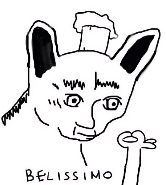 Кот Белиссимо