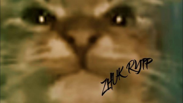 Кит ты маму мав