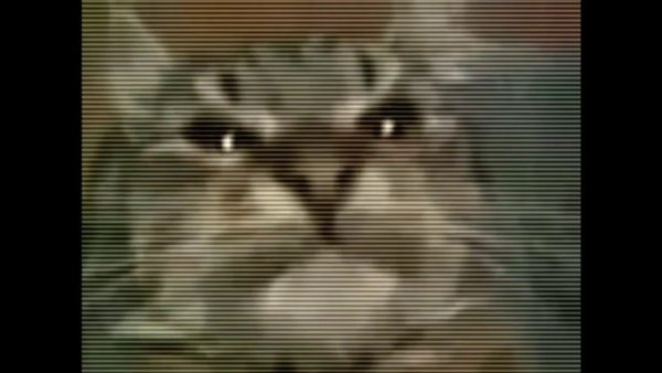 Кит ты маму мав