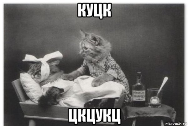 Выздоравливай картинки