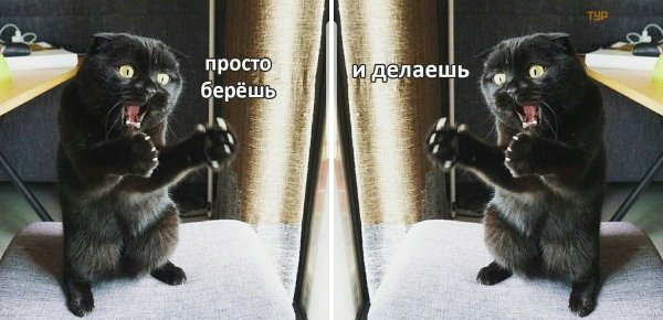 Просто берешь и делаешь