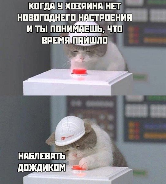 Котик с кнопками Мем