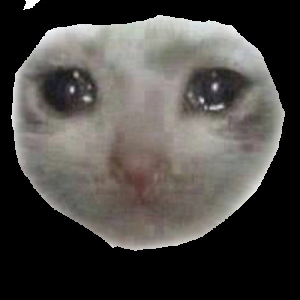 Плачущий кот лицо