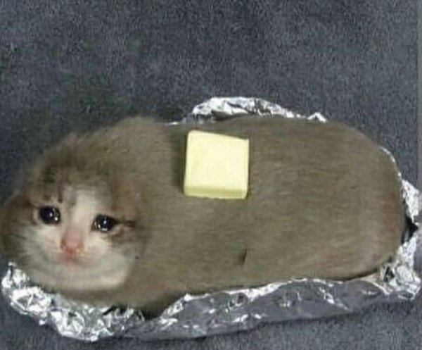 Плачущий котенок Мем