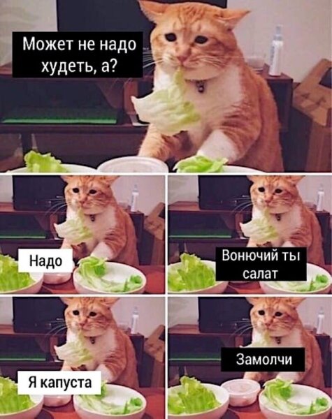 Может не надо худеть