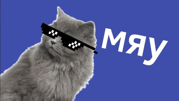 Мем с котом МАУ МАУ МАУ