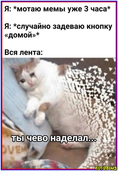 Жирные коты мемы