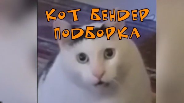 Кот Бендер Мем мяукает