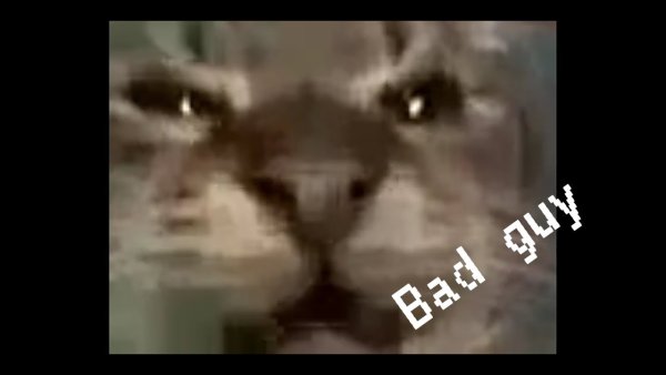 Кит кот Мем