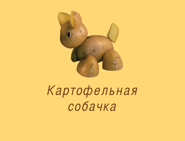 Карторке собака