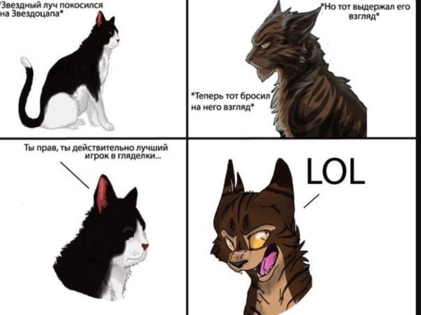 Коты Воители Звездоцап