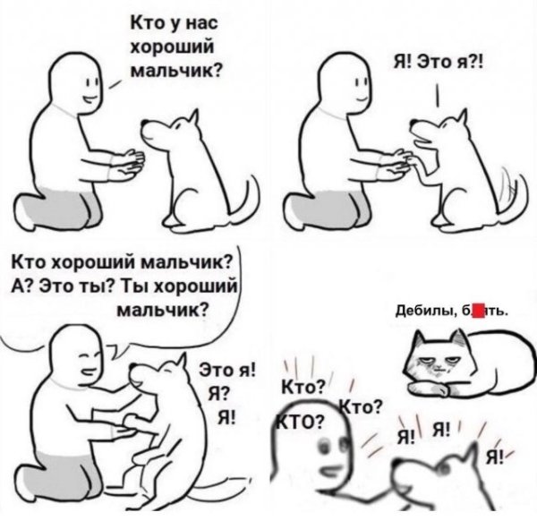Кто хороший мальчик кот