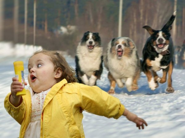 Человек убегает от собаки